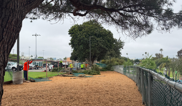 Benches for Polliwog Park Dog Run